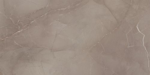 PORCELAIN TILE PASSION LUX TAUPE 60x120cm LAPPATO RECTIFIED 1ST QUALITY